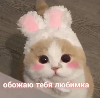 Стикер Мой стикерпак @moyi_stikery_bot - 6