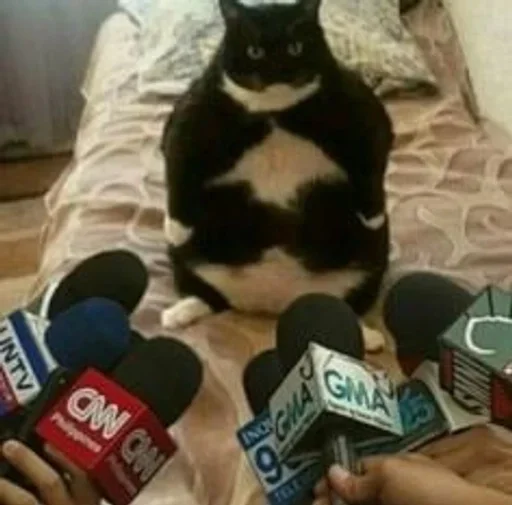 Стикер YZBcgDs_by_achestickbot - 1