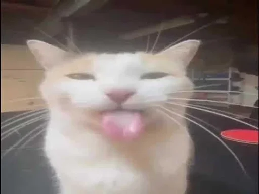 Стикер YZBcgDs_by_achestickbot - 1