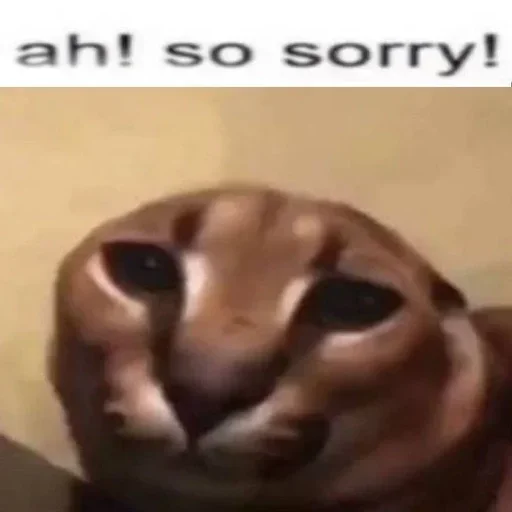 Больше стиков тут: @stikery4 - 