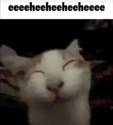 Sticker YZBcgDs_by_achestickbot - 1