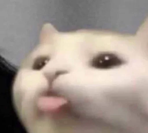 Sticker YZBcgDs_by_achestickbot - 1