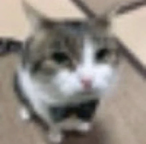 Sticker YZBcgDs_by_achestickbot - 1