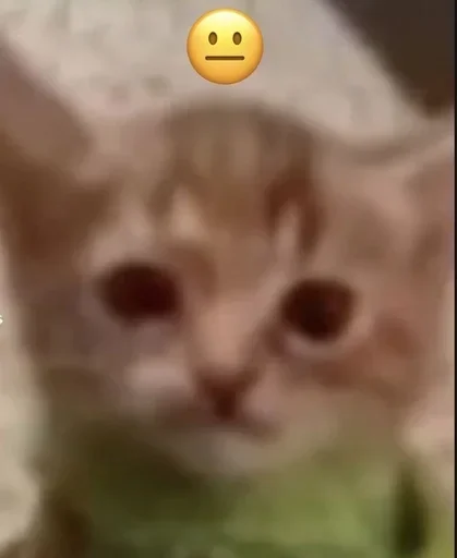 Sticker YZBcgDs_by_achestickbot - 1