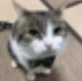 Sticker Больше стиков тут: @stikery4 - 3