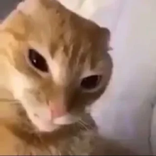 Sticker Больше стиков тут: @stikery4 - 11