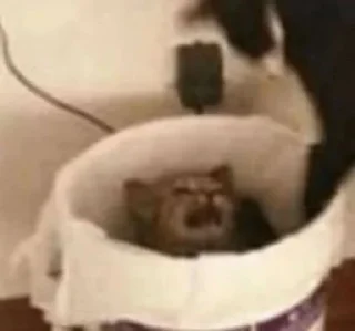 Sticker Больше стиков тут: @stikery4 - 6