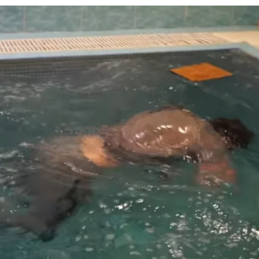 swimming pool sport water