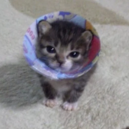 Стикер Мет - 10