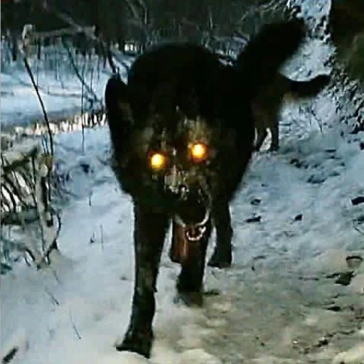 Стикер Мет - 2