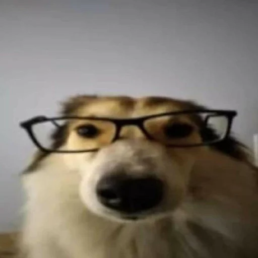 Sticker YaNeZoofilNavernoe - 1