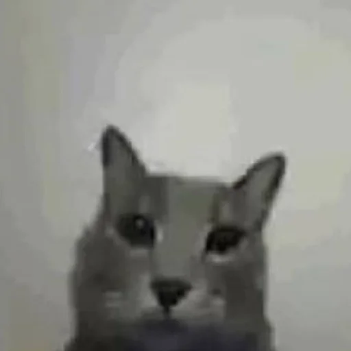 Sticker YaNeZoofilNavernoe - 1