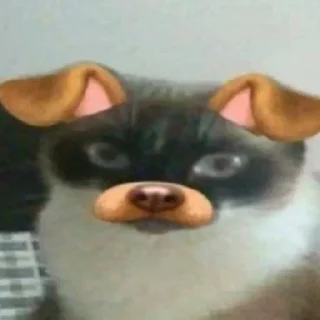 Sticker я не зоофил (наверное) - 7