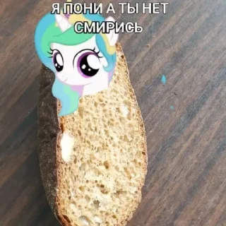 Стикер Я пони а ты нет смирись @MoiStikiBot - 9