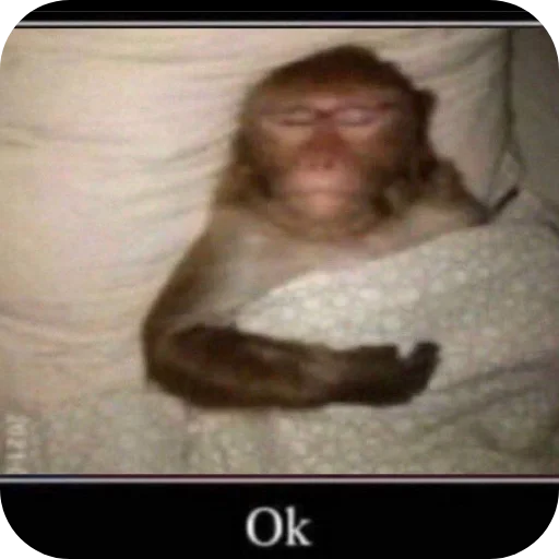 я спать - indoor