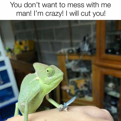 пресмыкающееся животное амфибия