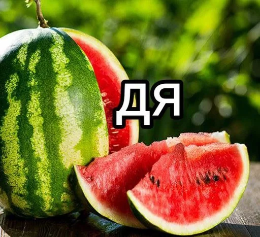 фрукт дыня арбуз