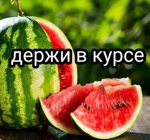 фрукт дыня арбуз