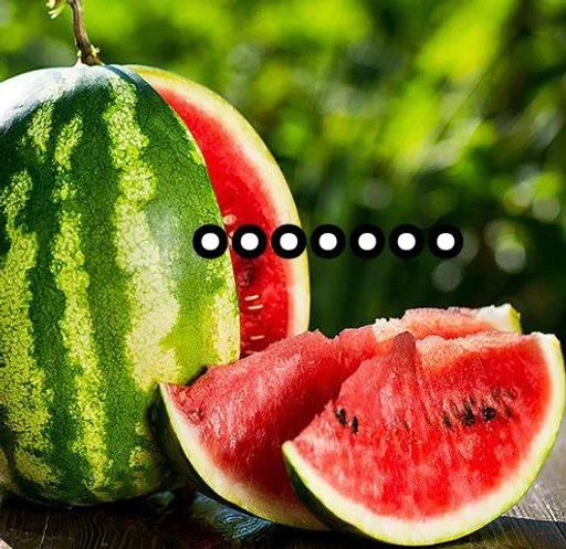 фрукт дыня арбуз