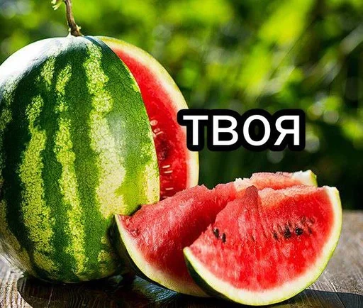 fruit melon watermelon