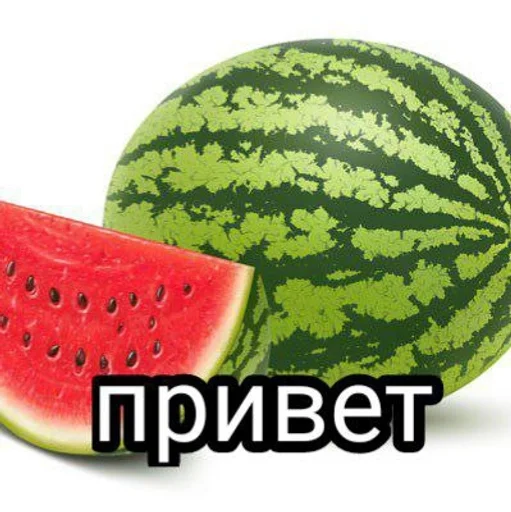 фрукт дыня цитруллус