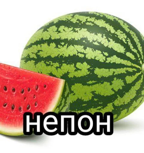 фрукт дыня цитруллус