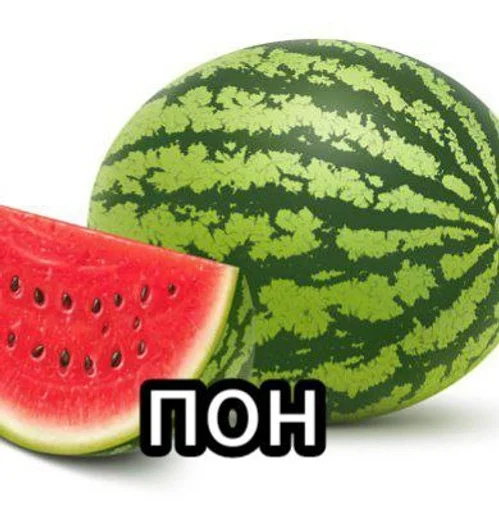 фрукт дыня цитруллус