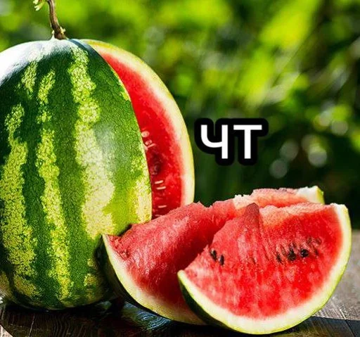 fruit melon watermelon