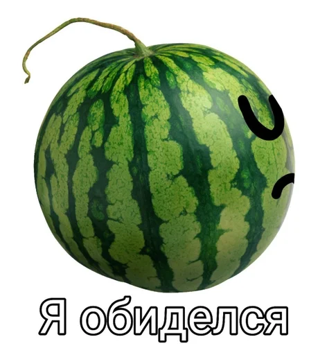 фрукт дыня цитруллус