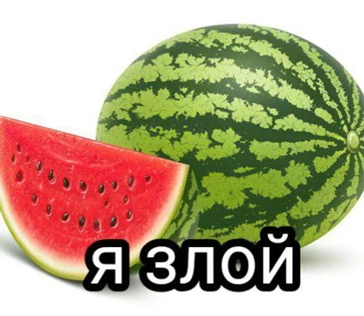 fruit melon citrullus