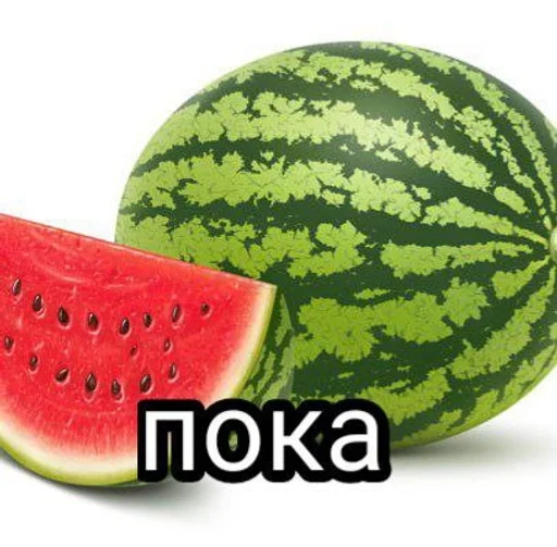 fruit melon citrullus