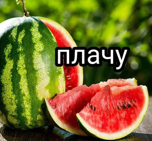 фрукт дыня арбуз