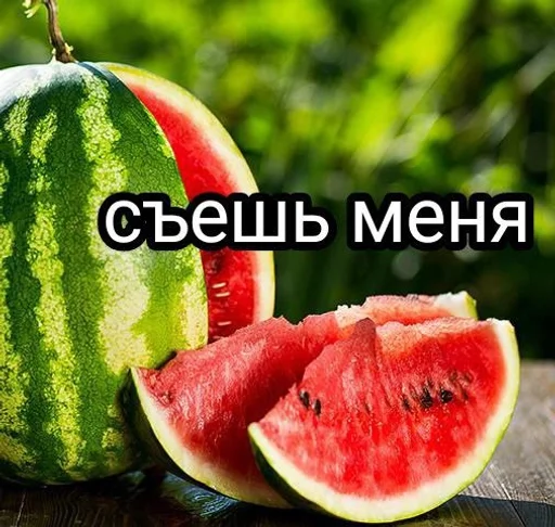 фрукт дыня арбуз