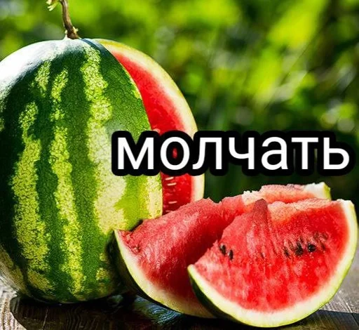 фрукт дыня арбуз