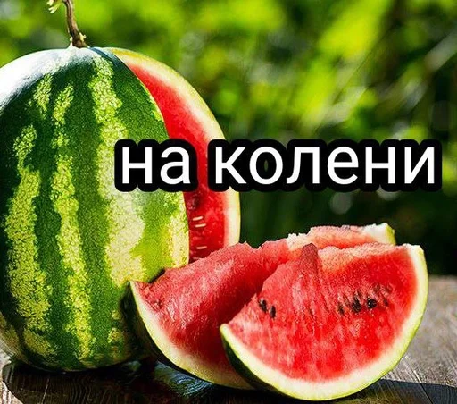 фрукт дыня арбуз