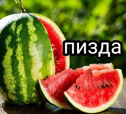 фрукт дыня арбуз