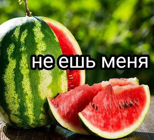 фрукт дыня арбуз