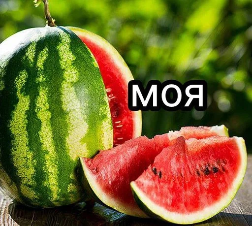 фрукт дыня арбуз