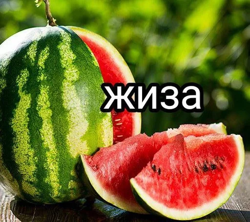 фрукт дыня арбуз