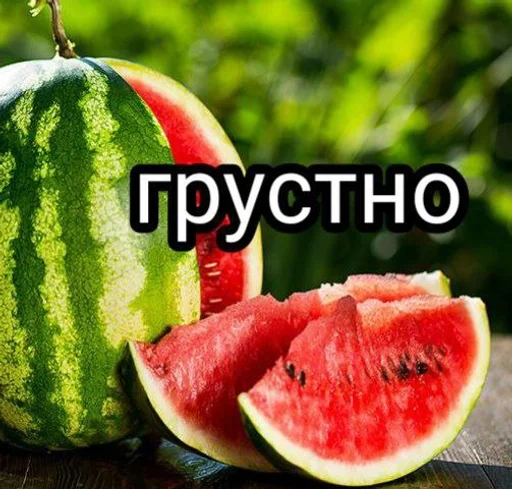 фрукт дыня арбуз