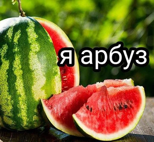 фрукт дыня арбуз