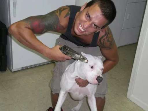 Человек комнатный млекопитающее