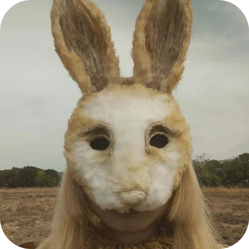 млекопитающее животное на открытом воздухе