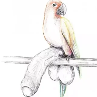 Sticker Маи стикеры бубжидубжизуса 👊 @DayStikBot - 8