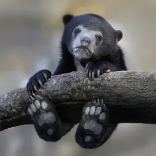 Стикер Илюх, только не бей - 9