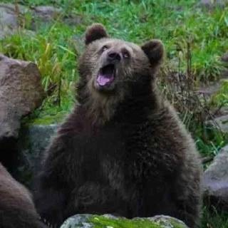 Стикер Илюх, только не бей - 11