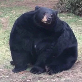 Стикер Илюх, только не бей - 10