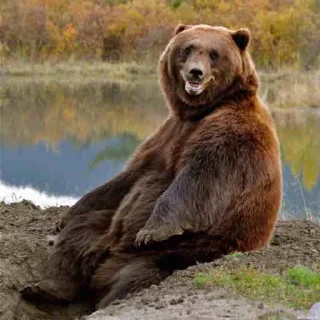 Стикер Илюх, только не бей - 7