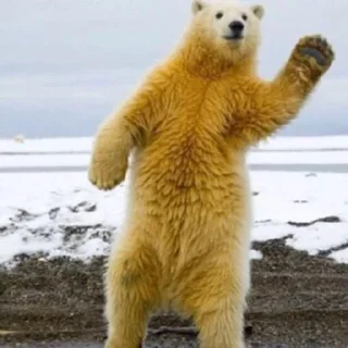 Стикер Илюх, только не бей - 1