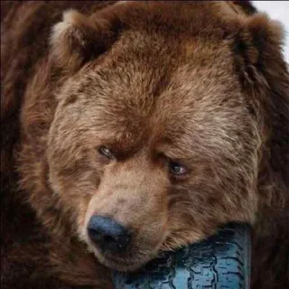 Стикер Илюх, только не бей - 6